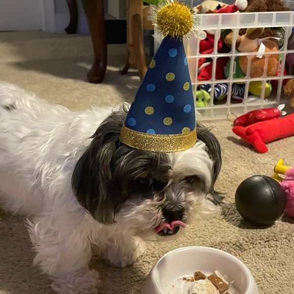 Meet your Posher, Maria - Picture 4 of 16